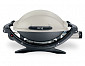 Weber Q 100