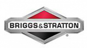 Briggs model 120000