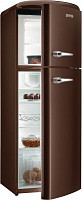 Gorenje RF 60309 OCH