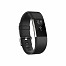 Fitbit Charge 2 large