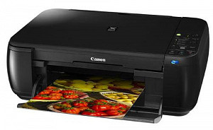 Canon PIXMA MP495